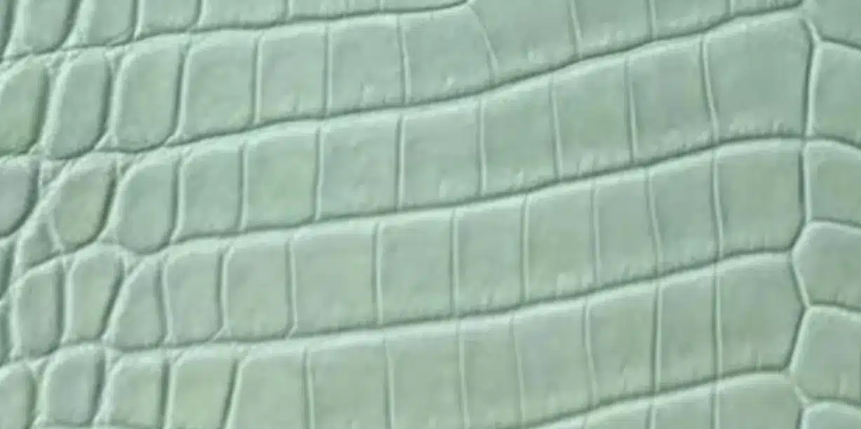 1181ce4a 5774 4790 bdfd 29100c2446e5