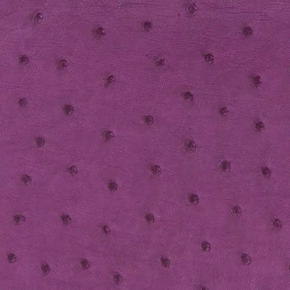 5bc1a007 71ed 470b bee1 ed23b5c6fc32