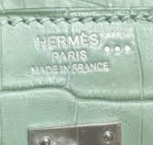 Varanus Niloticus Lizard