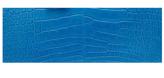 Hermès Alligator Leather