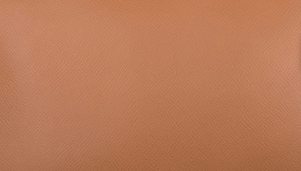 Hermès Courchevel Leather