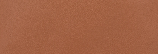 Hermès Evergrain Leather