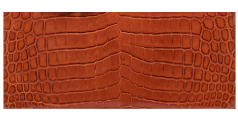 Hermès Niloticus Crocodile Leather