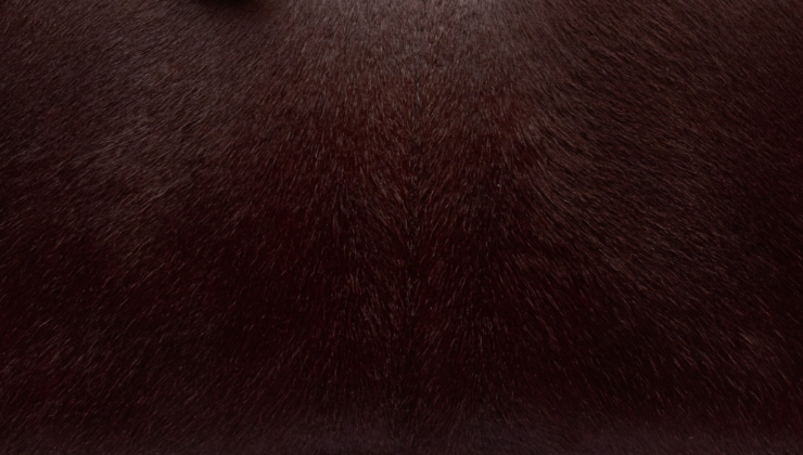 Hermès Troika Leather