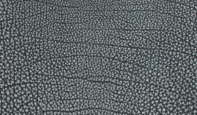 Hermès Buffalo Leather